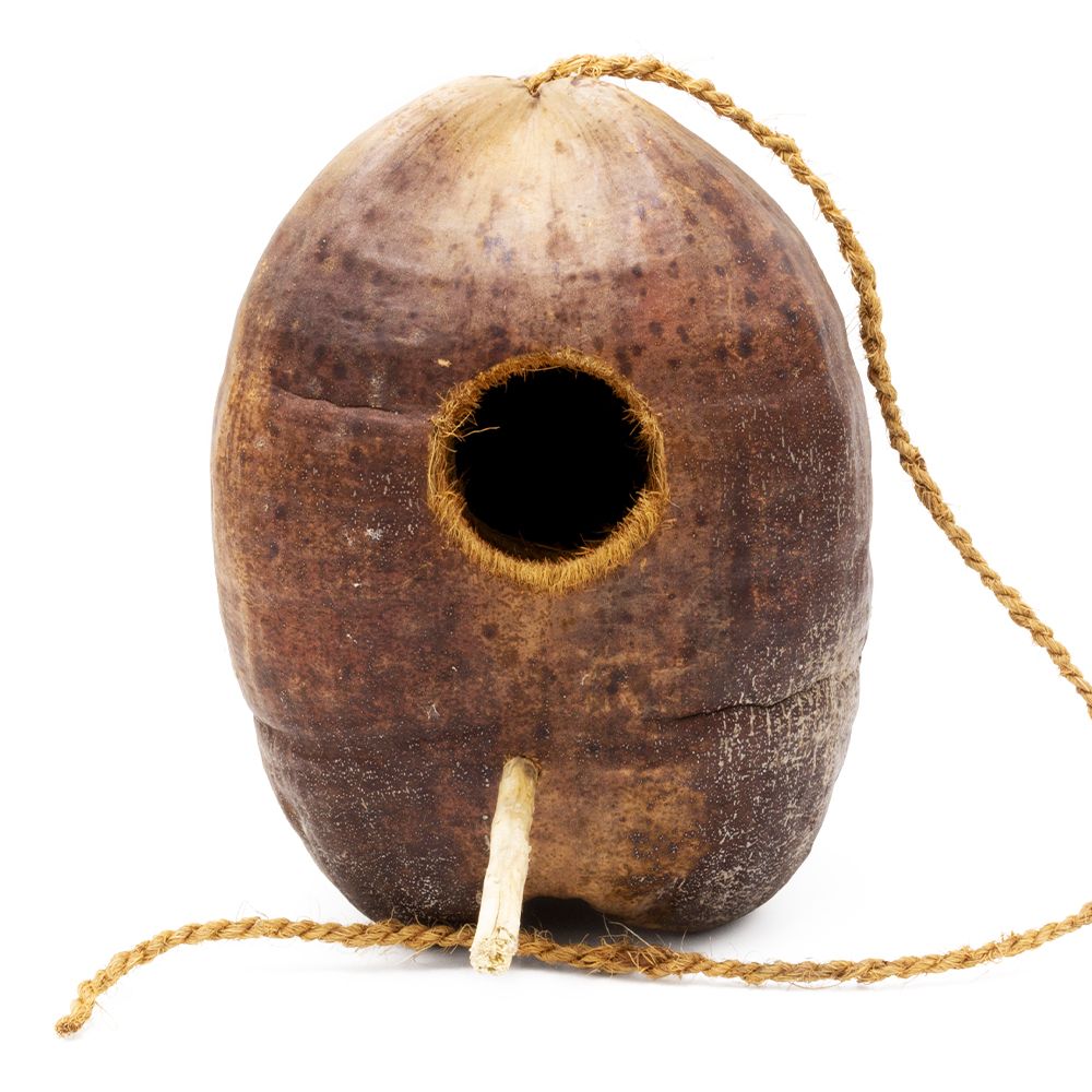 Kokosschale - Hängendes Versteck